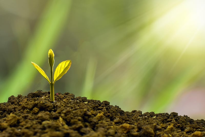Sustainability Seminars